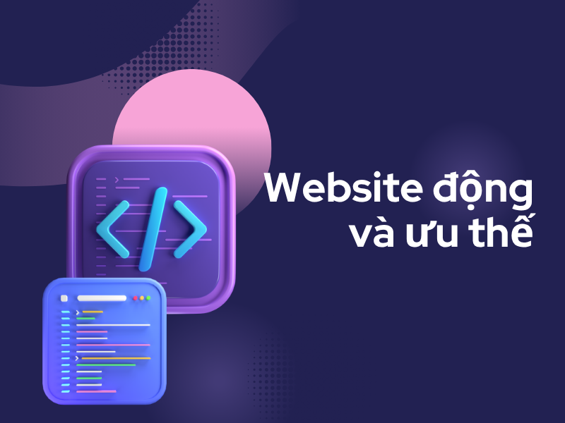 Website động và ưu thế: Giải pháp linh hoạt dành cho doanh nghiệp hiện đại