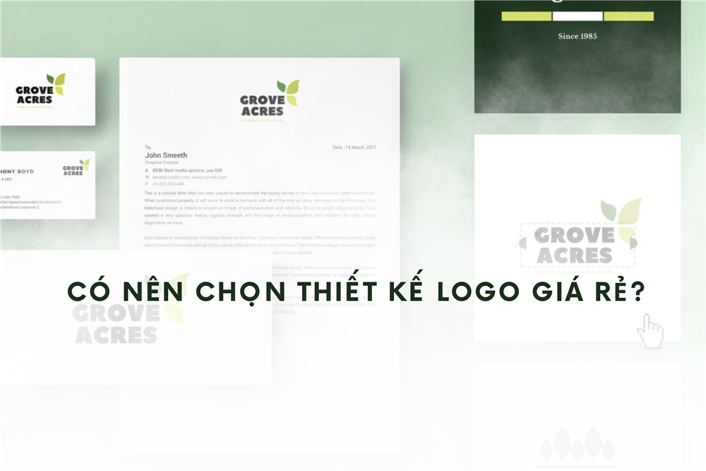 Có nên chọn thiết kế logo giá rẻ? Góc nhìn thực tế từ doanh nghiệp Việt