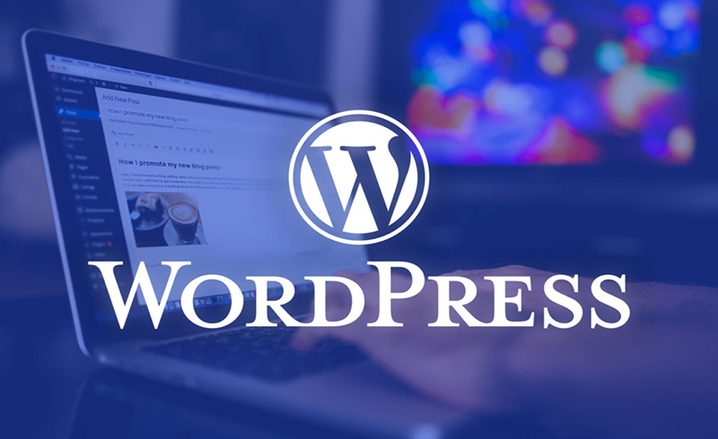 Thiết kế Website
