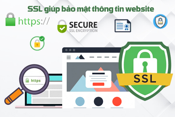 Thiết kế Website Chun Media 